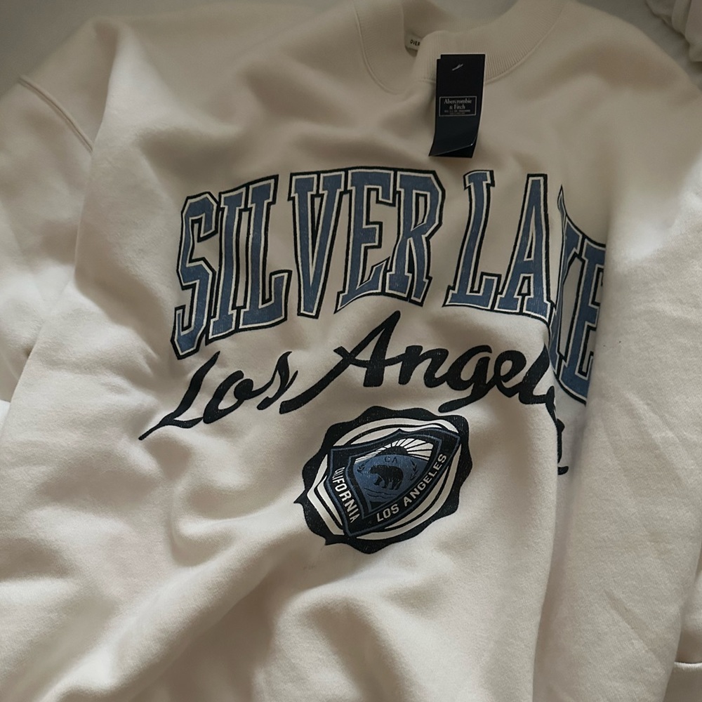 Abercrombie and Fitch Oversized crewneck